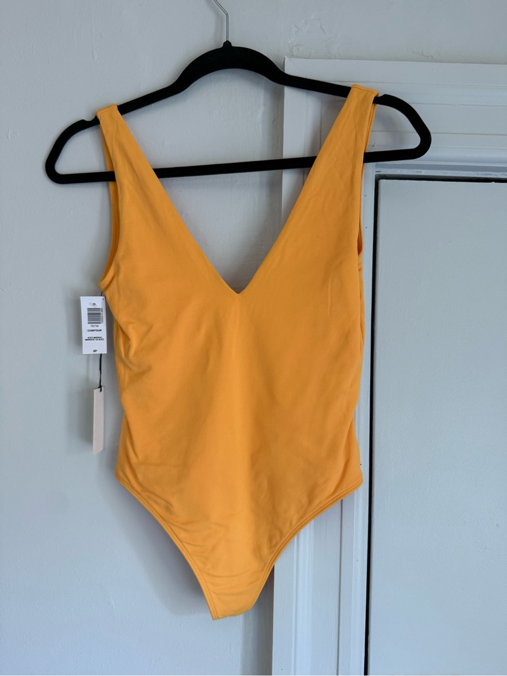 Aritzia Babaton Bodysuit - V-Neck